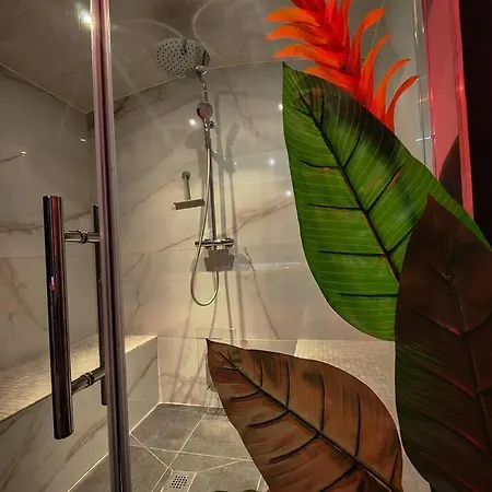 Le Loft : Jacuzzi - Sauna - Hammam